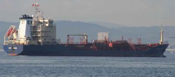 CLIPPER LEANDER